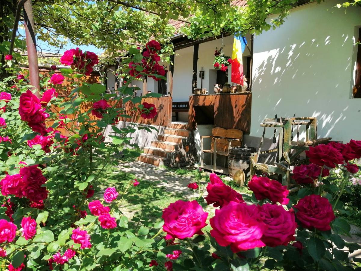 Casa Traditionala Transilvaneana Rucar  Esterno foto